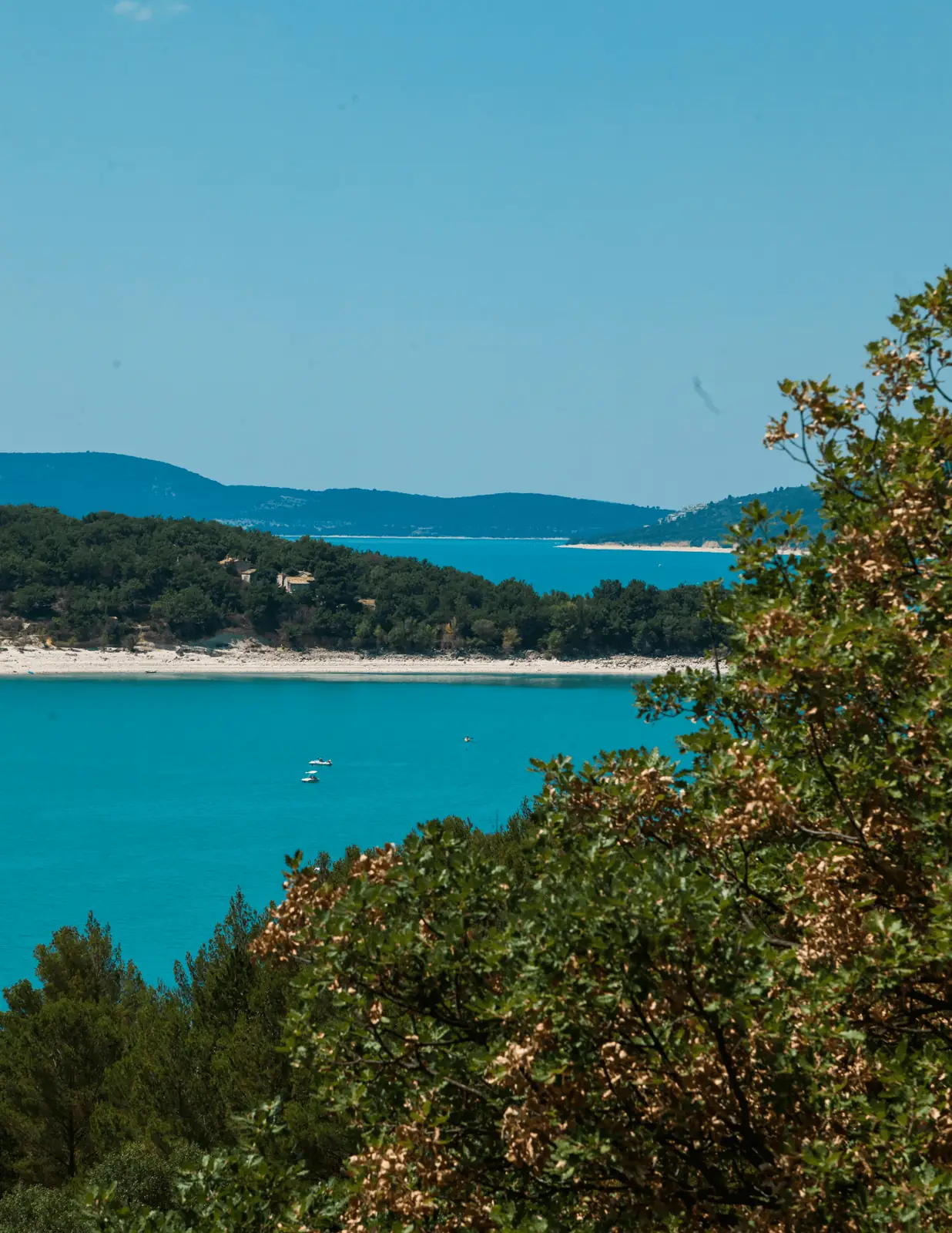 Bahía mediterránea de aguas turquesas vista entre los árboles